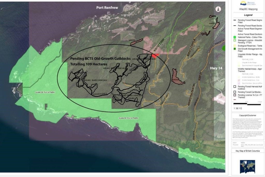 logging map - Seaflora Skincare old-growth to be auctioned off