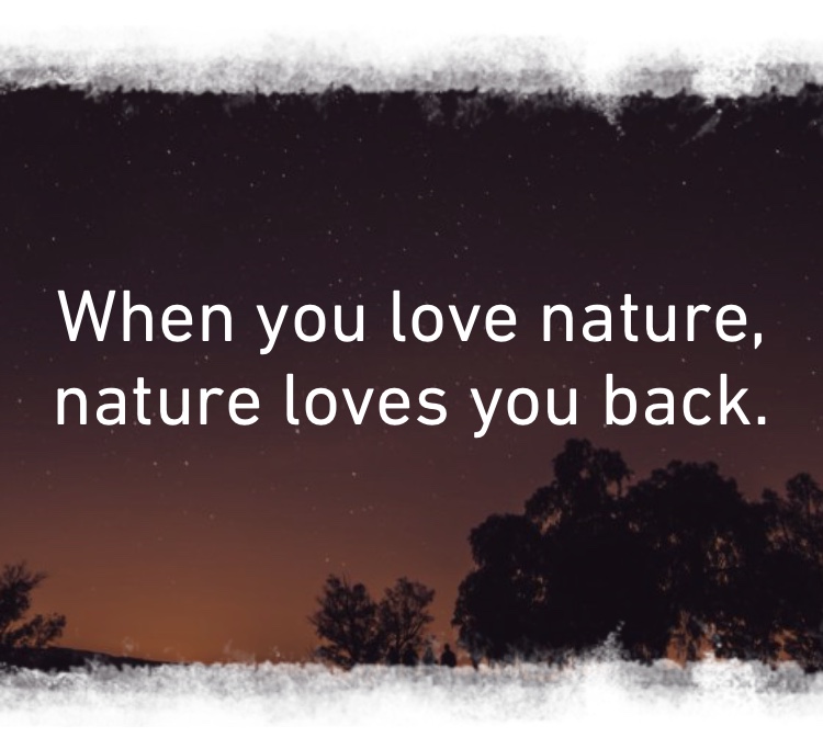 Natural Organic Skin Care - Seaflora Skincare Natural Organic Skin Care