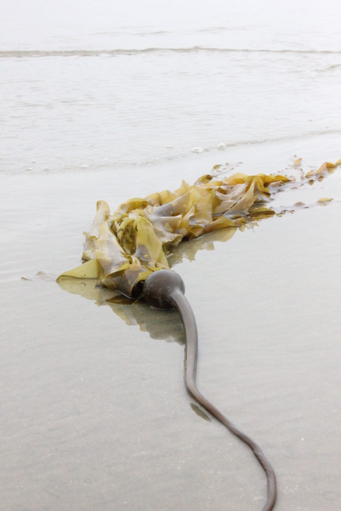 What is Dermal Degeneration — Can you achieve graceful aging instead?