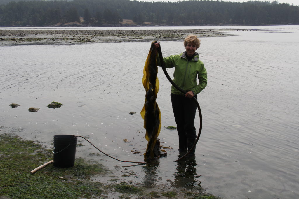 Seaflora and Earth Day 2021