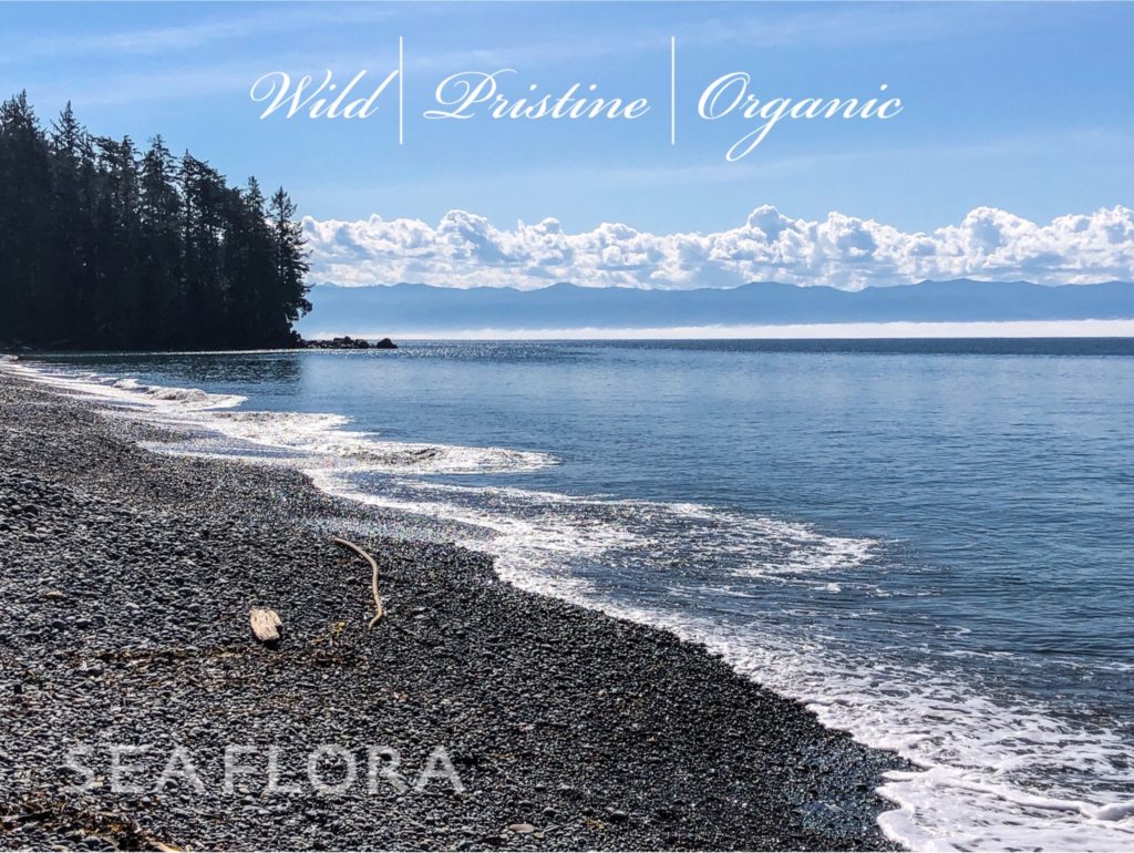wild-pristine-organic-coast - Seaflora Skincare Seaflora's Wild Prestine Organic Coast