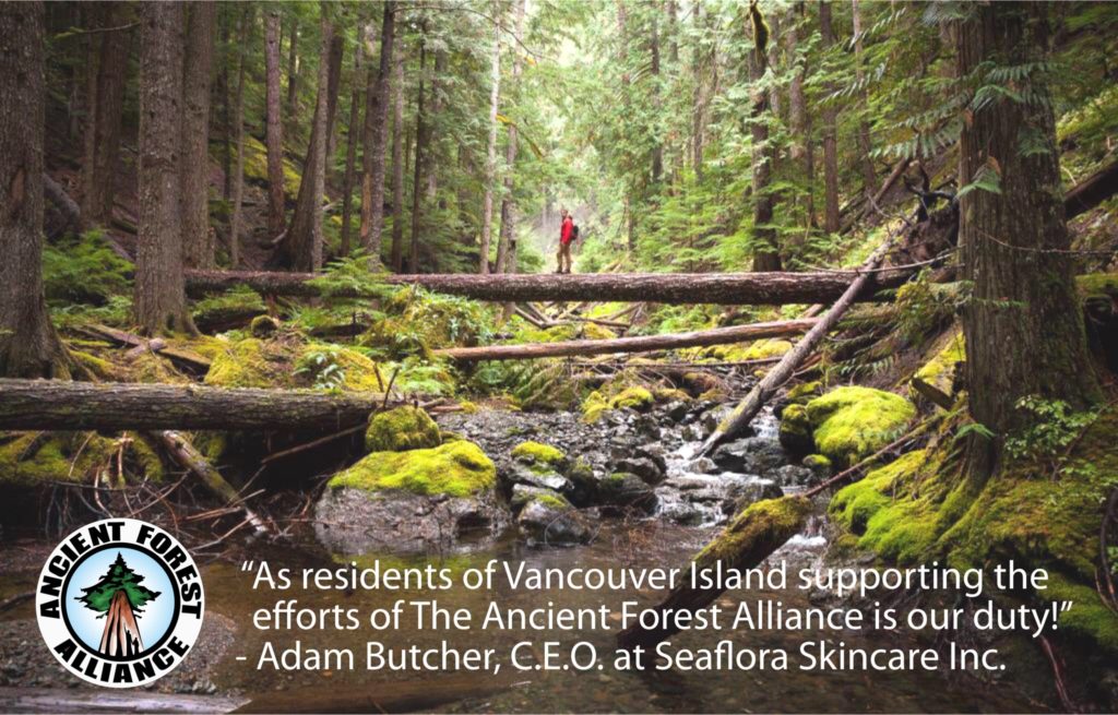 Ancient Forest Alliance