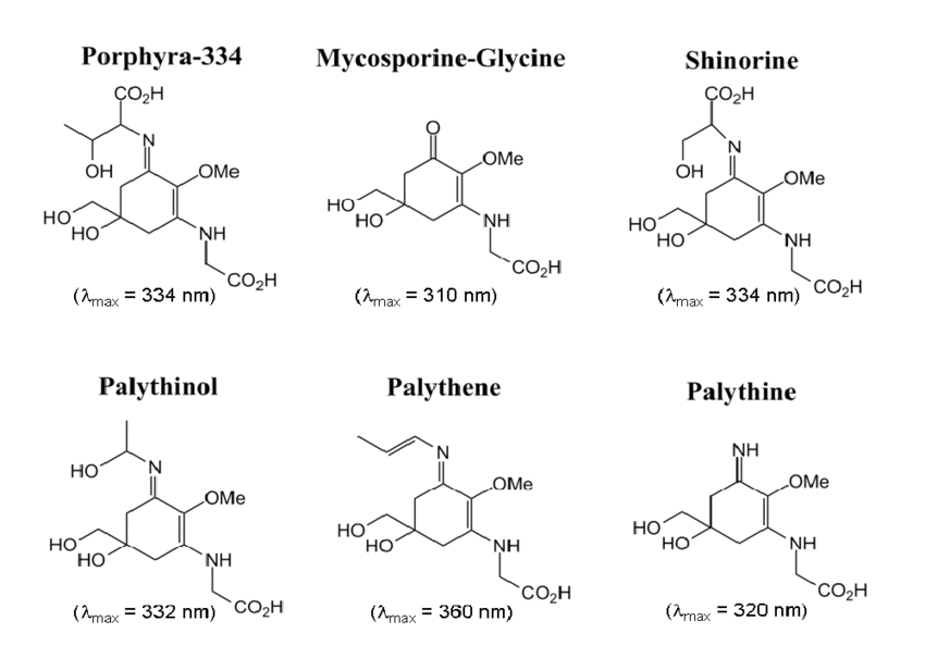 Mycosporine-like Amino Acids for Skin Photoprotection - Seaflora Skincare Mycosporine-like Amino Acids for Skin Photoprotection
