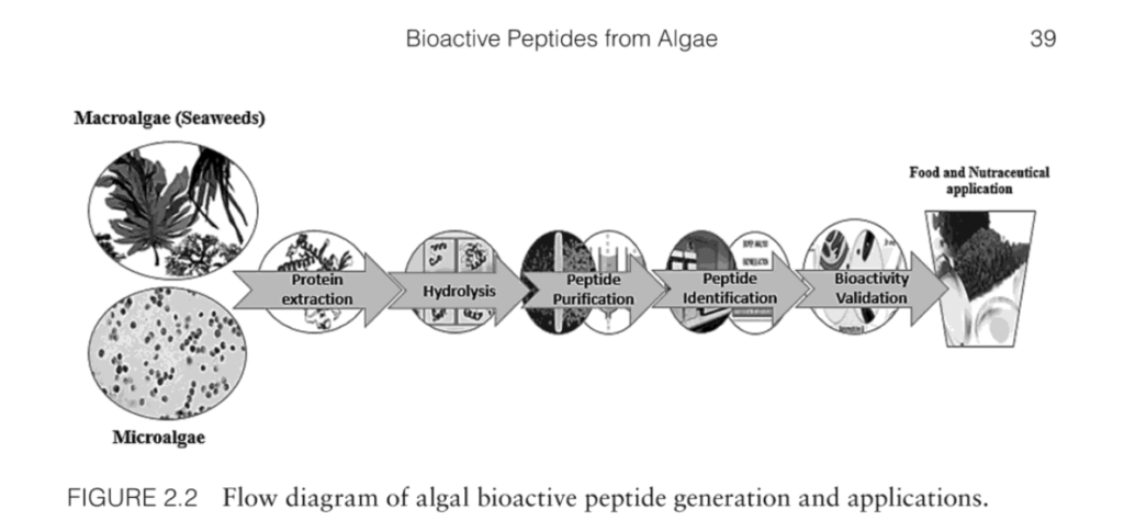 Algae Peptides - Seaflora Skincare Algae Peptides