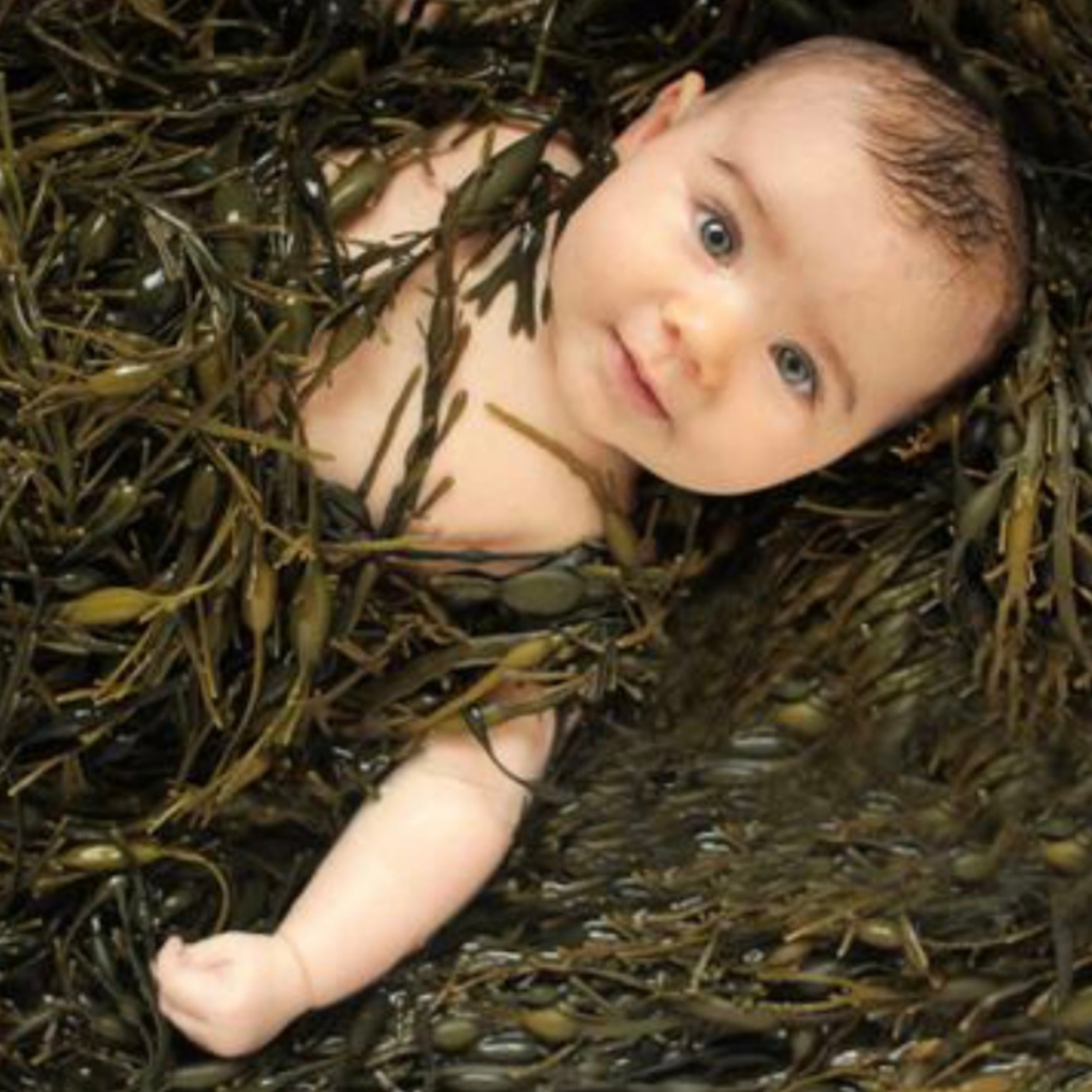 21 - Seaflora Skincare Retinol A from kelp