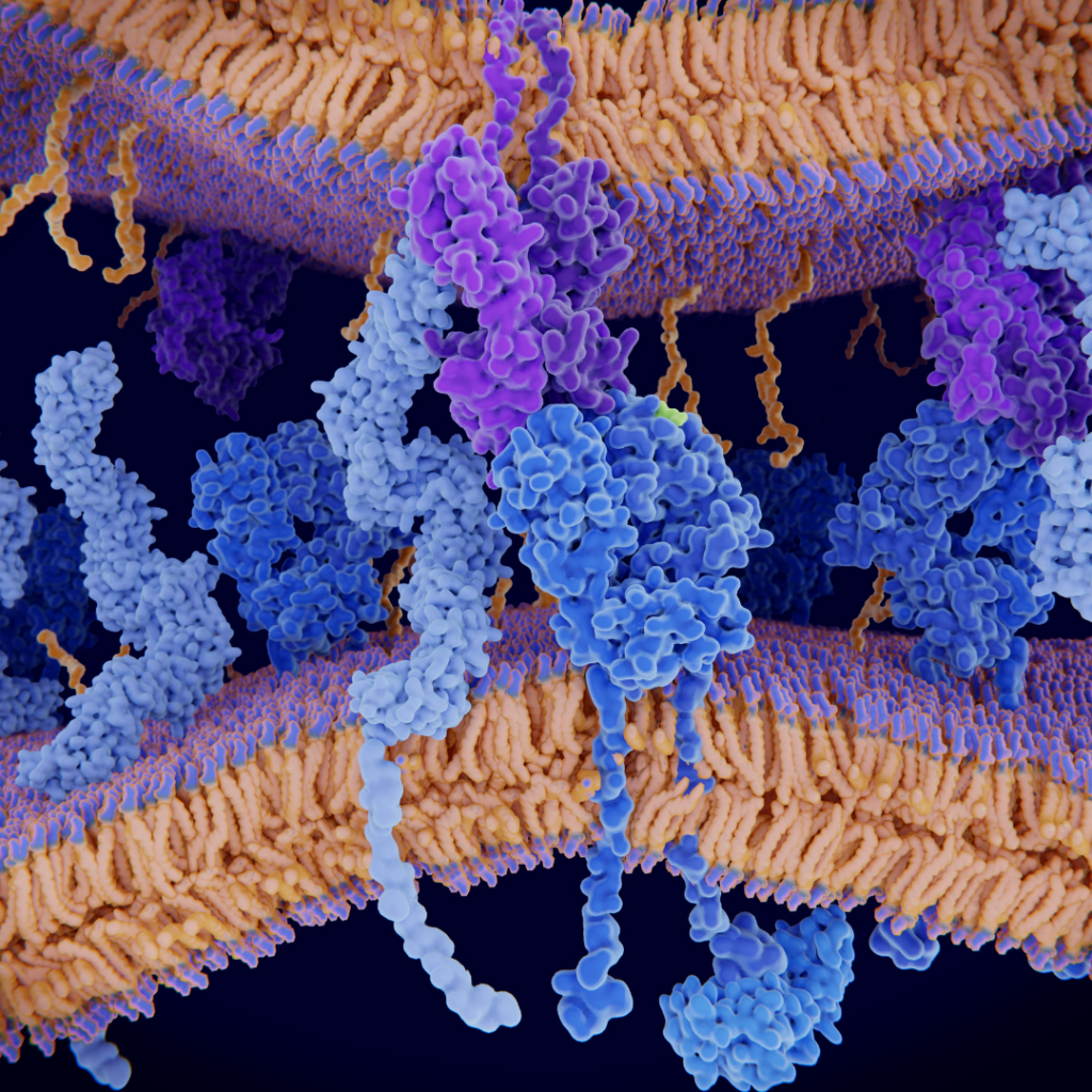 Gut Health reflects on the skin like a report card