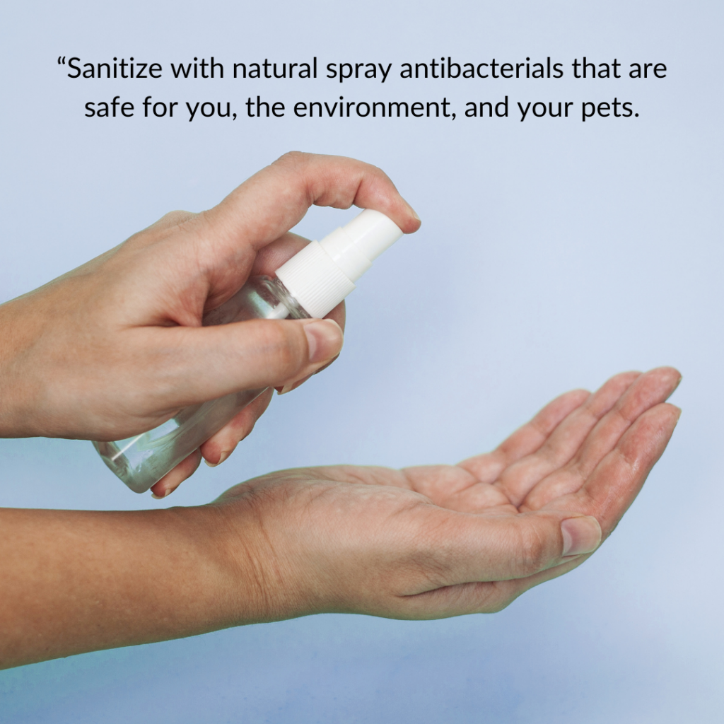 Spray-Antibacterial - Seaflora Skincare