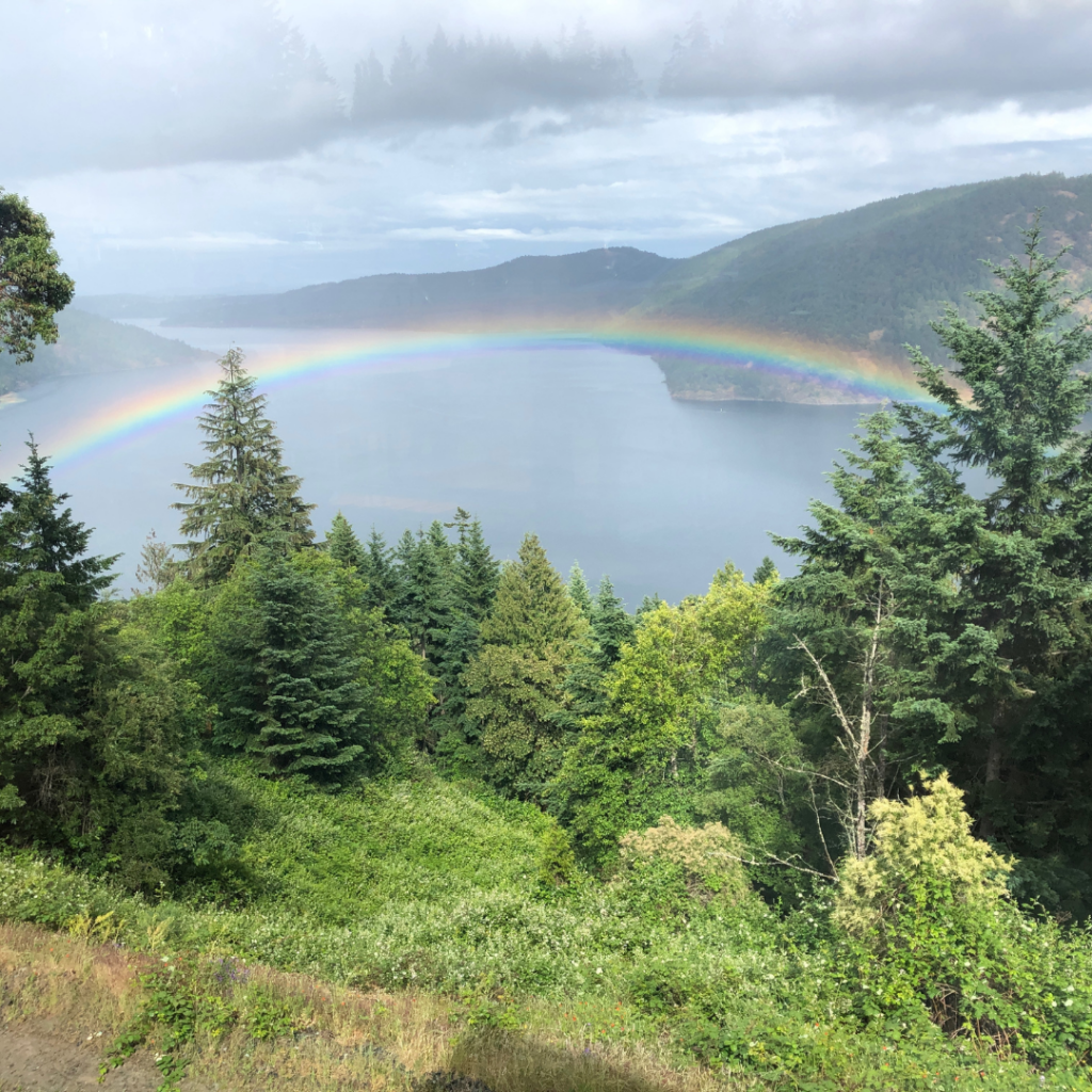 Clean-Beauty-Made-in-Canada - Seaflora Skincare