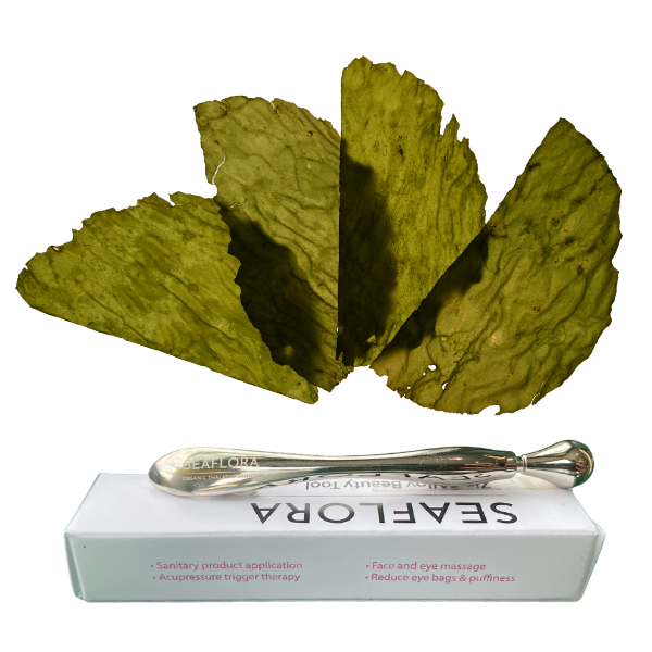 Seaweed-Collagen-Masque-and-Zinc-Alloy-Beauty-Tool - Seaflora Skincare