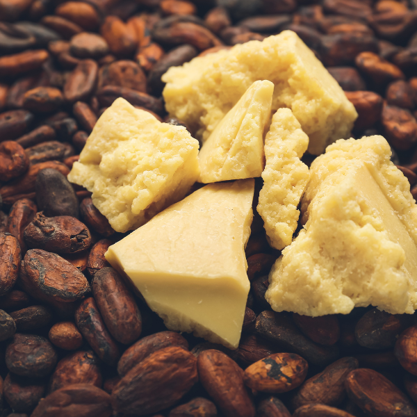 Real-Cocoa-Butter - Seaflora Skincare cocoa butter