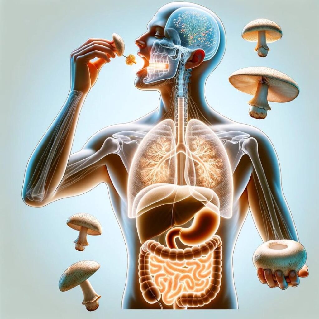 Eating Wild Mushrooms for Improved Health - Seaflora Skincare Wild Mushrooms