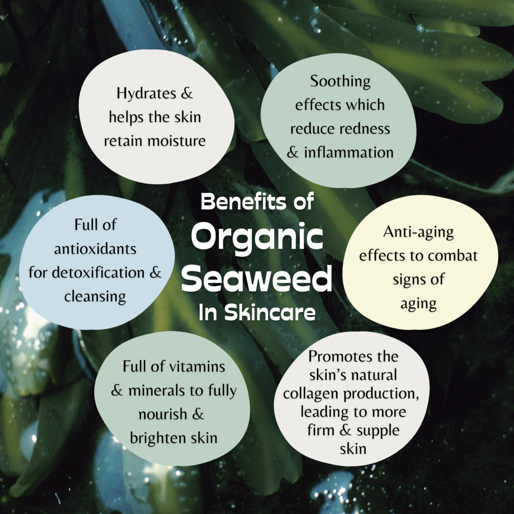 seaweed for perioral dermatitis