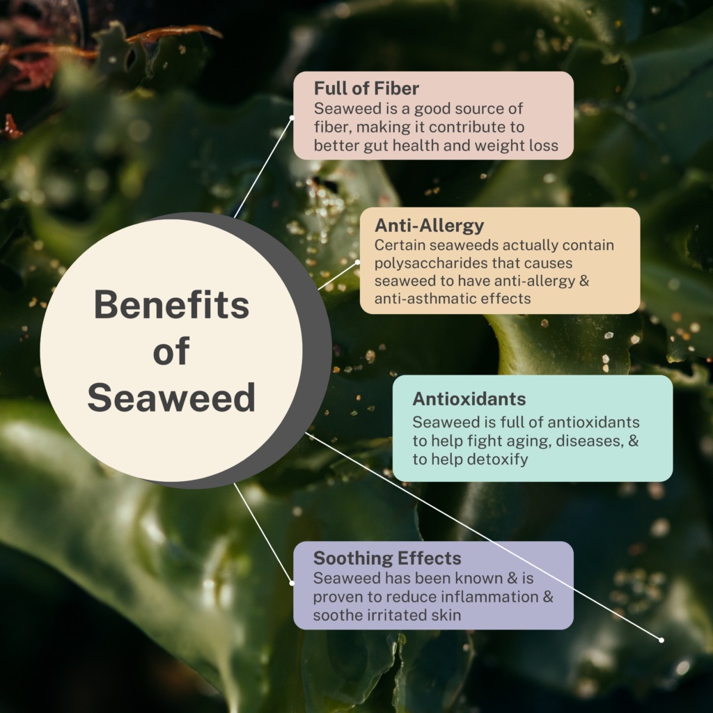 benefits of seaweed - Seaflora Skincare
