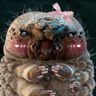 demodex - Seaflora Skincare Demodex