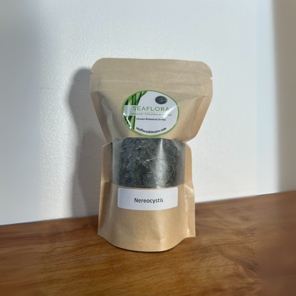 seaflora seaweed - Seaflora Skincare Seaflora's Nereocystis which is good for the body.