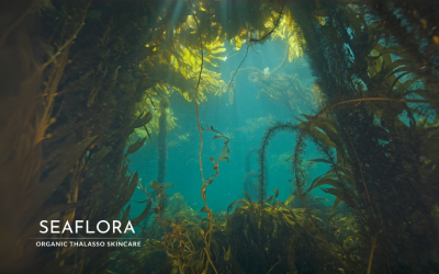 Deep blue underwater ocean scene with a kelp forest arching into a circle, framing an open gap of ocean light in the middle, featuring Seaflora Skincare’s logo.
