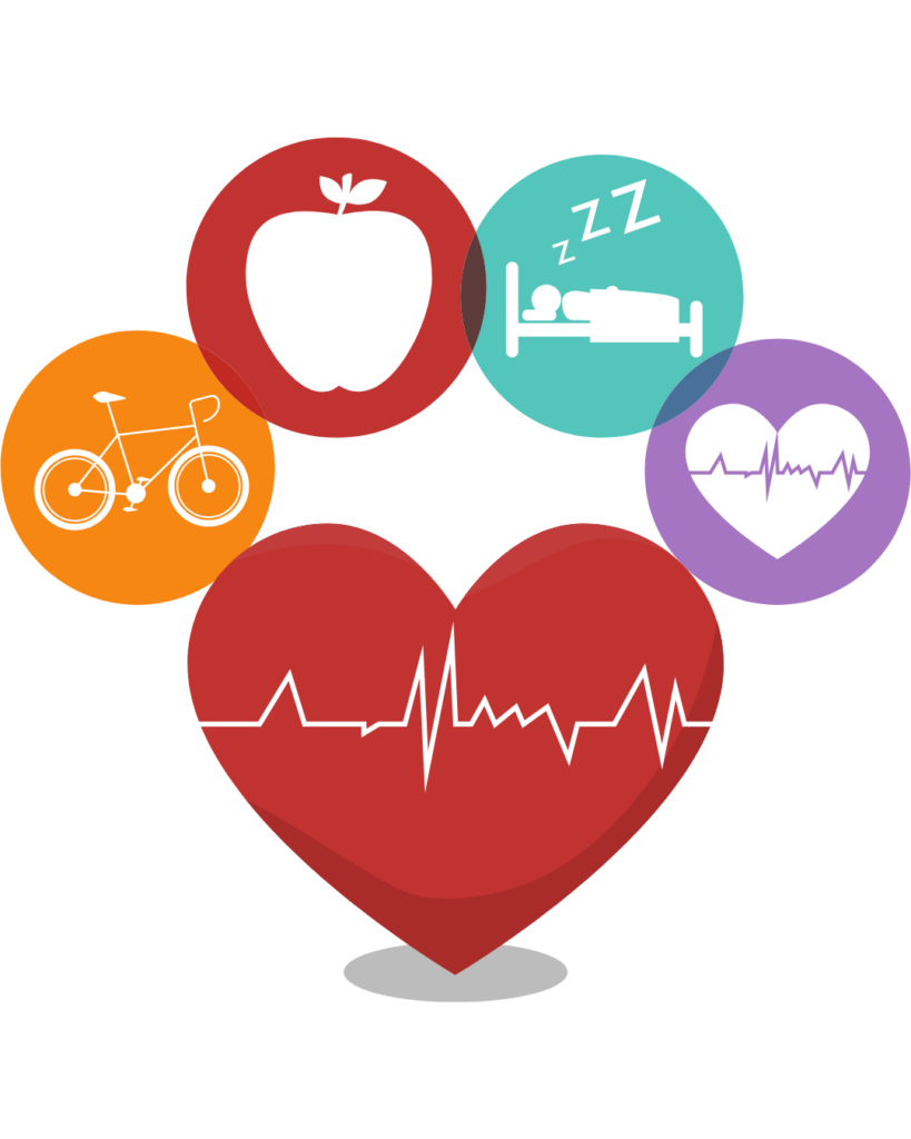 Squalene can help with your cardiovascular health.