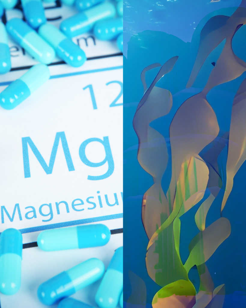Magnesium supplements vs Seaweed