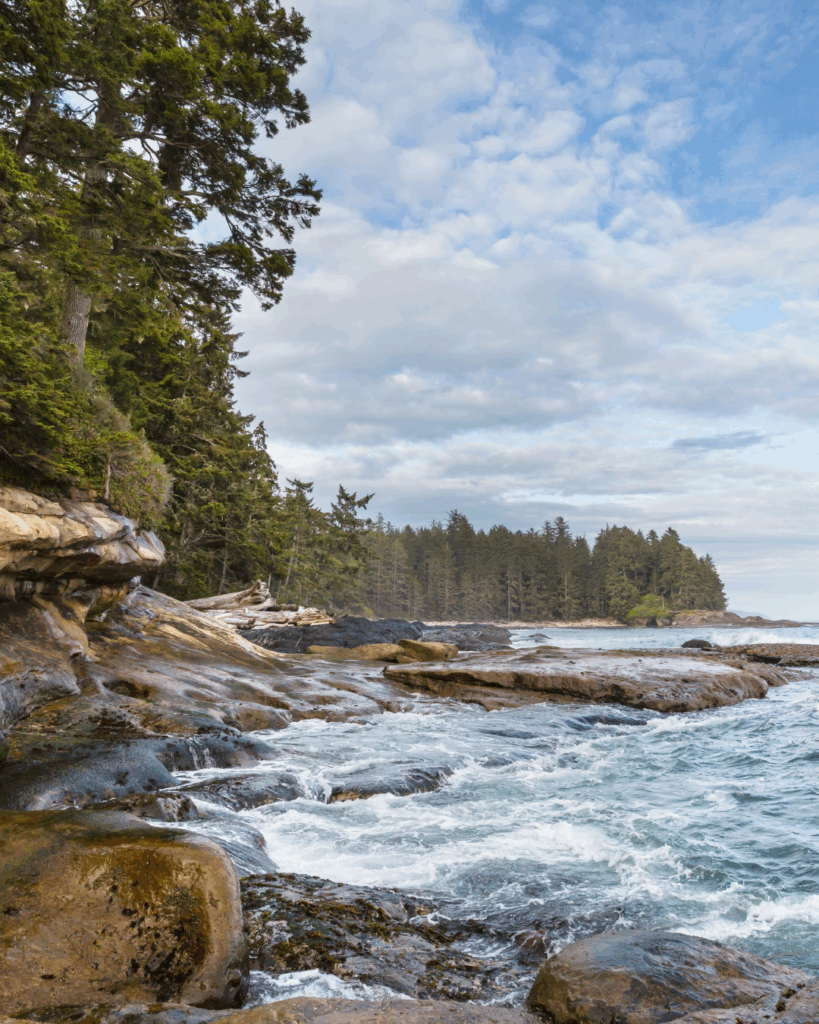 West Coast of Vancouver Island where there is the most amount of biodiversity of Seaweed found.