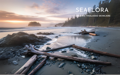 A breathtaking wide shot of a rugged beach on the west coast of Vancouver Island at sunset or sunrise, with waves gently washing over sandy and pebble-strewn shores. Large pieces of weathered driftwood are scattered across the foreground, and dense evergreen forests line the misty coastline. In the top right corner, the Seaflora logo is subtly placed in white.