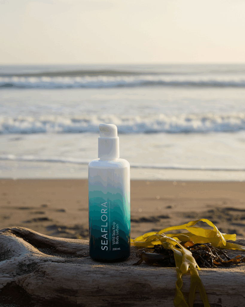 Seaflora's Wild Sea Kelp Body Lotion, the glass bottles depict the Ocean.