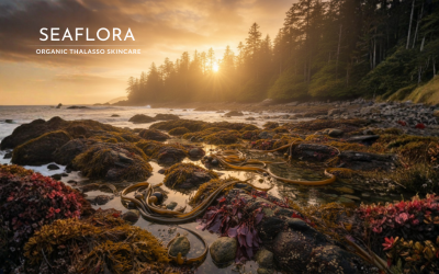 A dramatic autumn coastal scene on the West Coast of Vancouver Island. The foreground features a wet, mossy rock and a scattering of vibrant autumn maple leaves. Dulse, Rockweed, and Bull Kelp are visible at the low-tide waterline. The overall atmosphere is misty with a golden sunset glow. The white Seaflora logo is placed in the top-left corner, signifying the brand's connection to this rugged marine environment.