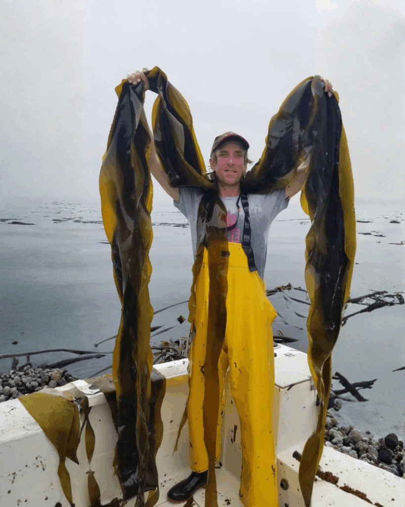 Adam our Sea-E-O locally and sustainably hand harvesting Seaweed.