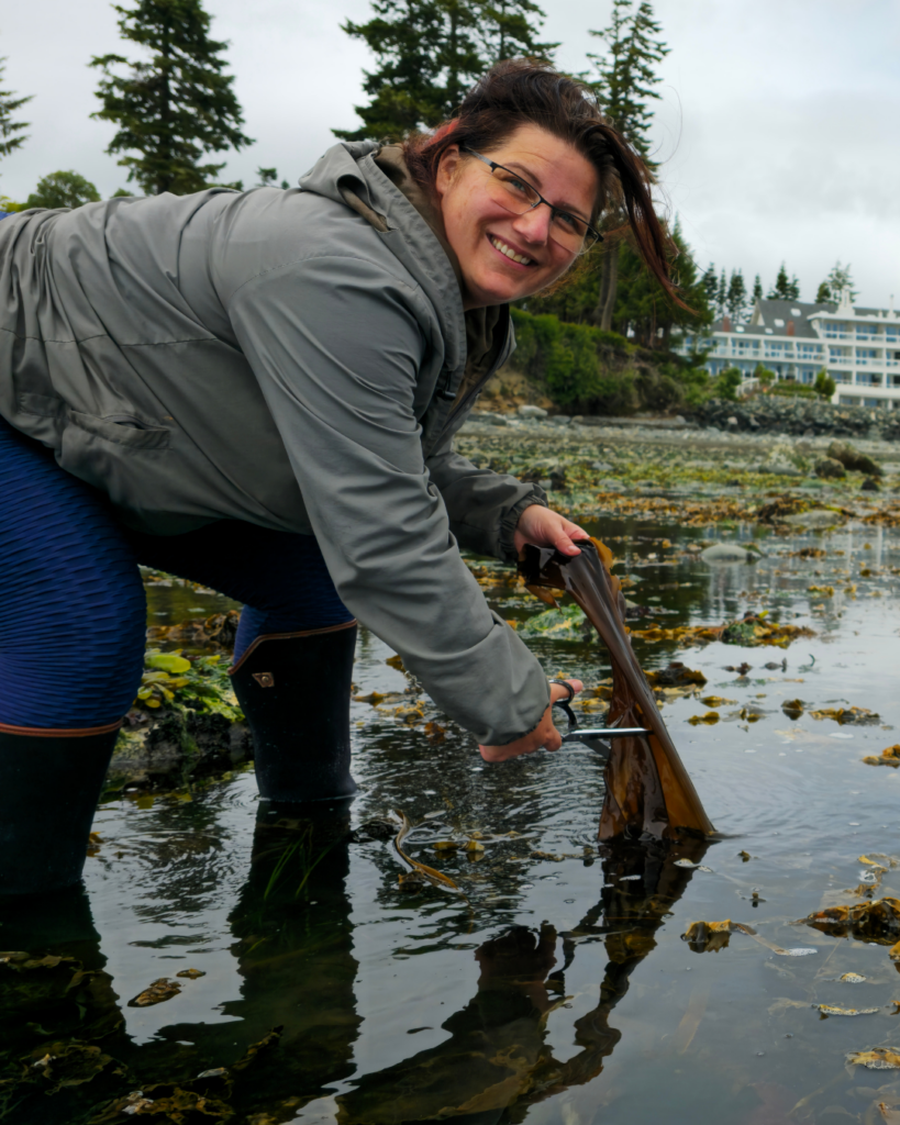 Chantelle kneeling on the rocky shore at Whiffin Spit near Sooke Harbour House, carefully selectively harvesting fresh seaweed using scissors to ensure sustainable regrowth.