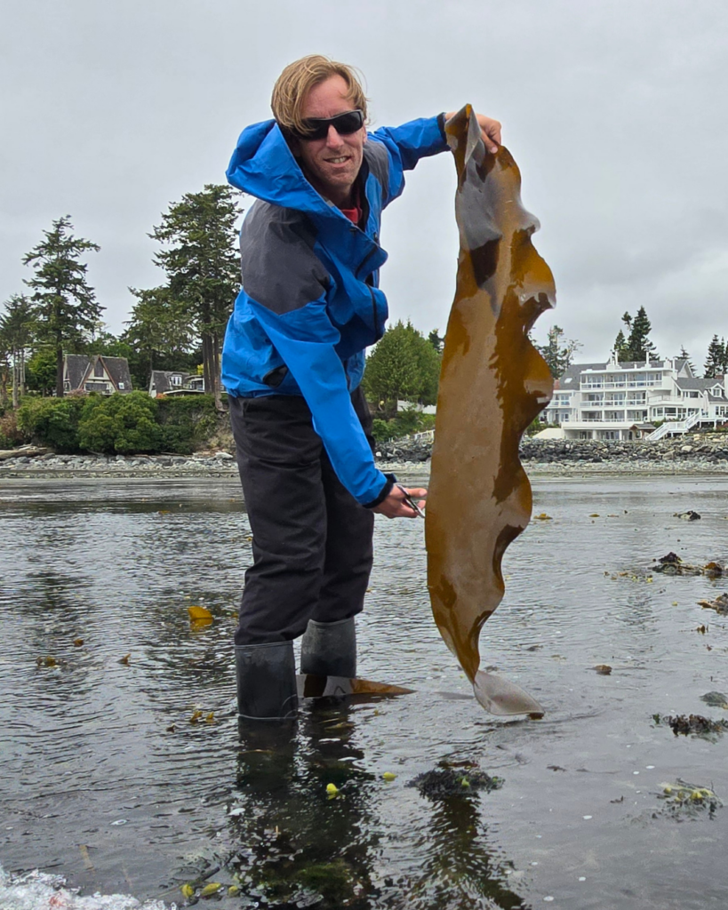 Adam kneeling at the water's edge at Whiffin Spit in Sooke, gently hand-harvesting fresh seaweed without tools, inspecting the quality of the raw ingredient.