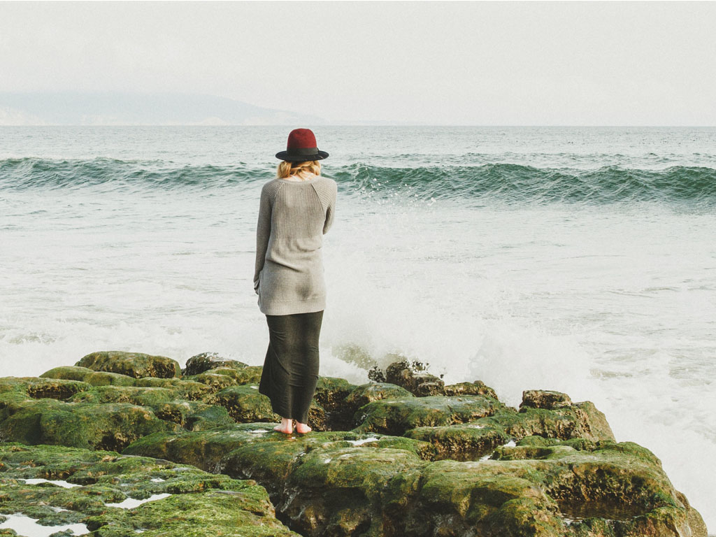 World Ocean’s Day 2022 & What Seaflora is Doing