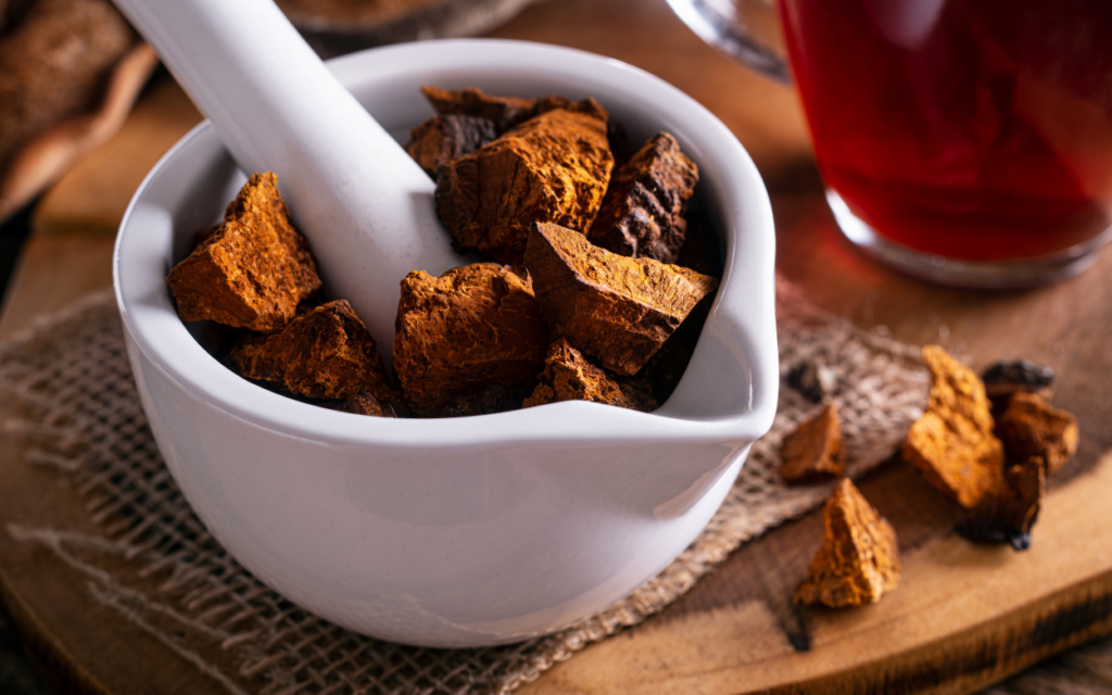 chaga mushrooms - Seaflora Skincare