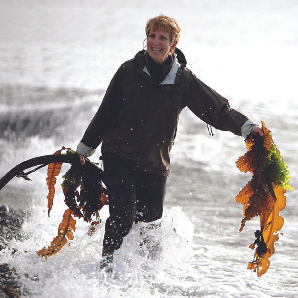 Diane Bernard 3rd Generation Seaweed Harvester - Seaflora Skincare best eczema facial moisturizer