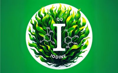 Iodine From Kelp is One of The Best Natural Sources - Seaflora Skincare Iodine