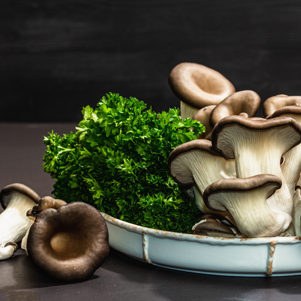 beta-glucan - Seaflora Skincare