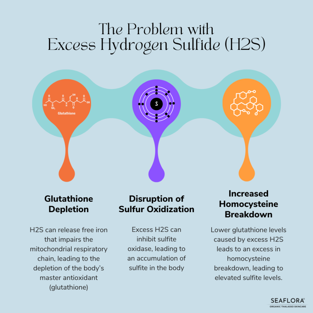 h2s issues 1 - Seaflora Skincare