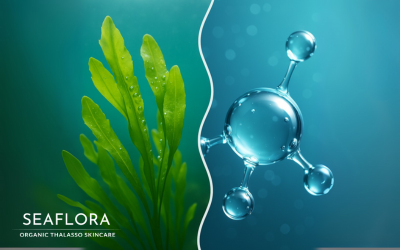 Split-screen cover image showing seaweed swaying underwater on the left and a detailed hyaluronic acid molecule illustration on the right, with Seaflora Skincare’s logo centered below the title.