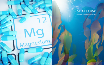 Split-screen blog cover image: left side shows the magnesium (Mg) symbol on the periodic table with scattered blue and white pills; right side shows vibrant underwater seaweed. Seaflora Skincare logo included.