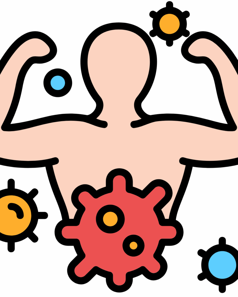 How Antioxidants Strengthen the Immune System - Seaflora Skincare immune system which is helped by Antioxidants.