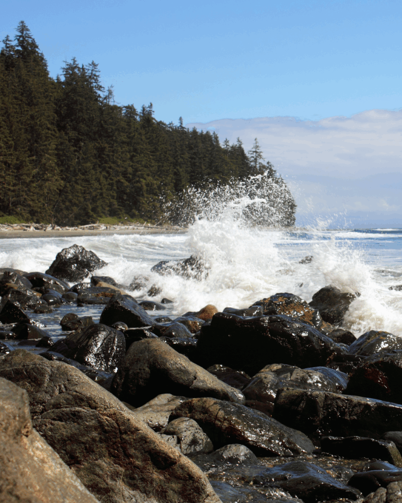 West Coast Vancouver Island Ocean Spray and Driftwood Landscape - Seaflora Skincare West Coast of Vancouver Island where Seaflora's 'product of canada' is made.