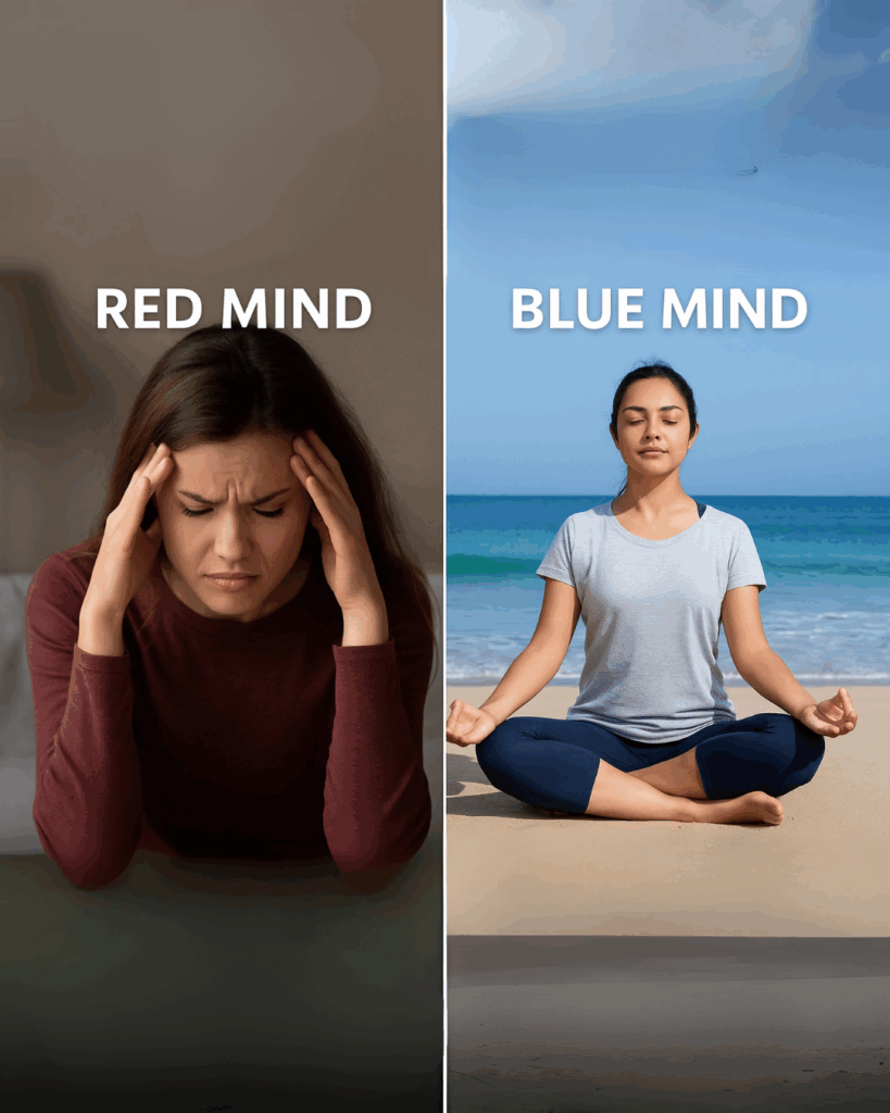 Red Mind vs Blue Mind