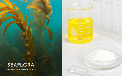 A split-screen image. On the left, vibrant kelp sways gently in a clear, beautiful blue ocean. On the right, scientific lab equipment is neatly arranged: a beaker of yellow liquid, a petri dish with white powder, a clear pipette, and thin glass beakers in a plastic holder. A white logo is in the bottom left corner.