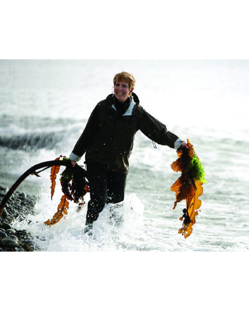 Smiling Diane wading through ocean waves holding large bunches of brown and green seaweed in both hands.