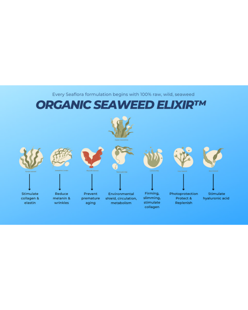 Infographic displaying seven types of organic seaweed used in Seaflora elixirs and their specific skin benefits.