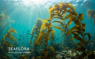 Sea to Skin: The Ultimate Zero-Waste Guide