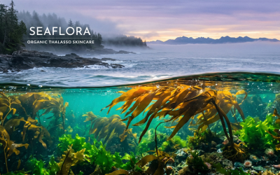 A split-shot showing a misty Vancouver Island coastline above water and a lush forest of golden bull kelp and sea lettuce below the emerald surface.