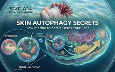 A complex scientific visualization, serving as the blog cover, featuring a stylized 'Bio-Active Ocean Lens' looking through a tranquil turquoise-indigo ocean surface to split views of raw nature and cell science. The upper section shows raw marine mineral salts and Iridaea algae being harvested. The main section shows a 3D cutaway of a complex human skin cell. An arrow traces the detailed autophagy process: on the left, an autophagosome engulfs damaged mitochondria and merging with a lysosome. Small, glowing aqua-gold spheres (MARINE MINERAL CATALYSTS) activate the machinery. The cell transitions from dull, congested textures (left) to radiant, youthful textures (right). The main title 'SKIN AUTOPHAGY SECRETS' is bold in clean, white, sans-serif font, with the sub-title 'How Marine Minerals Detox Your Cells' below. The lens border has a water-etched pattern.